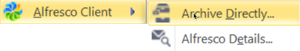 SkyVault archive directly icon in Outlook