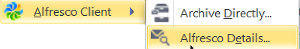 SkyVault archive directly icon in Outlook